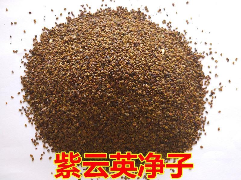紫云英种子