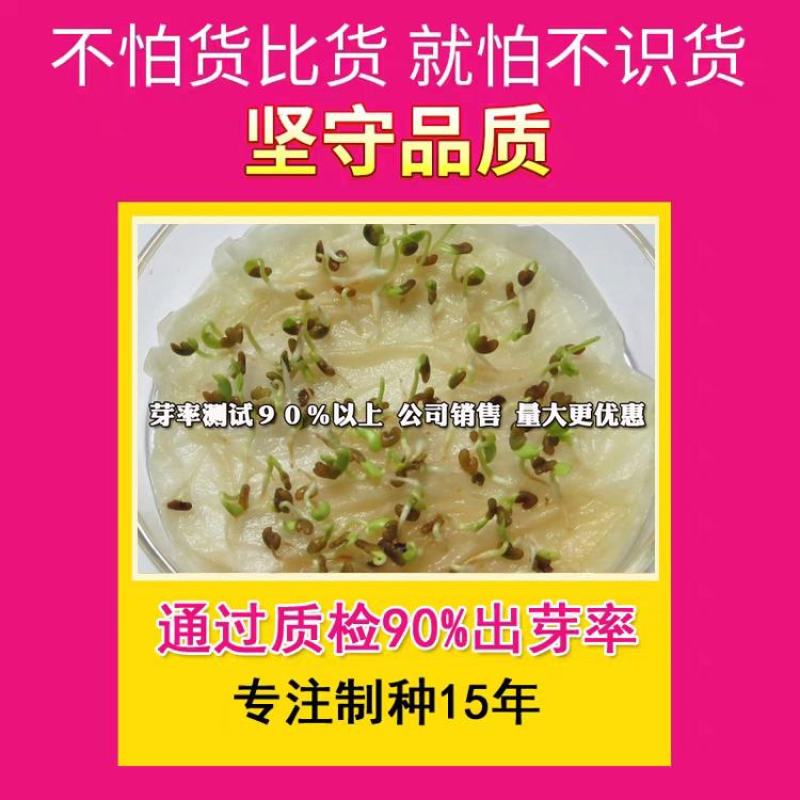 紫云英种子