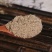 荜拨粉超细破壁粉高品质中药材荜茇泡茶水食用特级正品