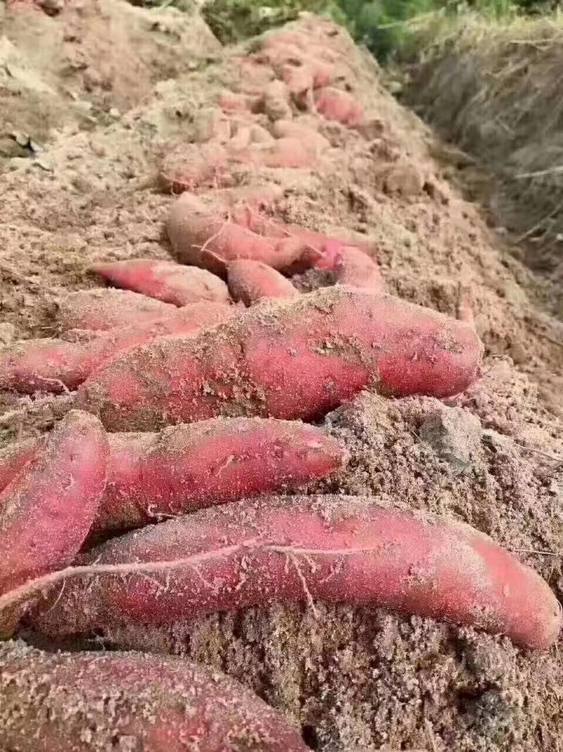 农家手工番薯粉，纯手工制作，量大价格优惠