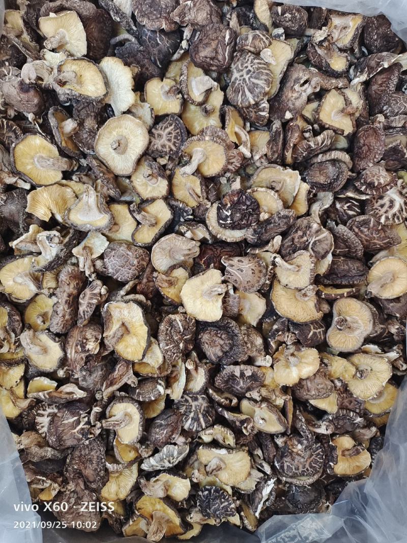 原木香菇，食用菌干货，量大价格优惠