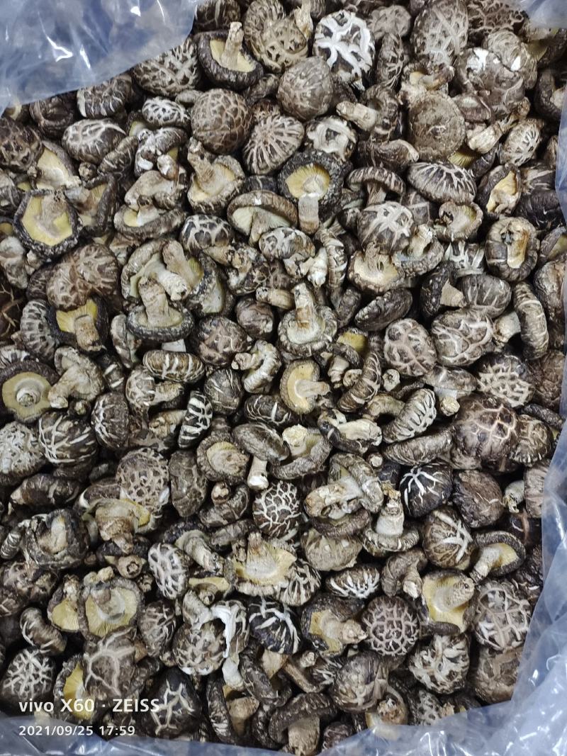 原木香菇，食用菌干货，量大价格优惠