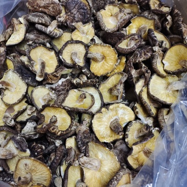 原木香菇，食用菌干货，量大价格优惠