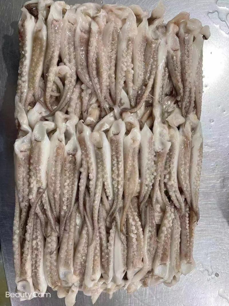 长腿八爪鱼长腿章鱼长腿八爪鱼长腿八爪