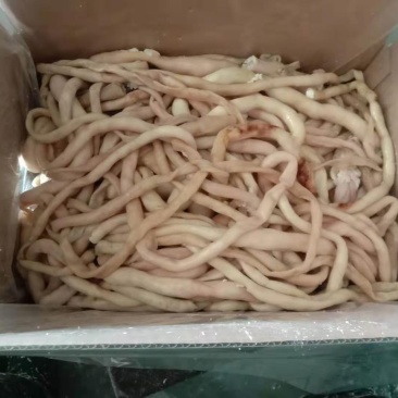 全熟羊肥肠一件二十