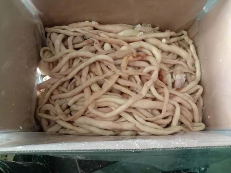全熟羊肥肠一件二十