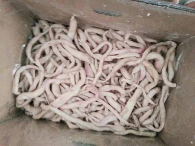 全熟羊肥肠一件二十