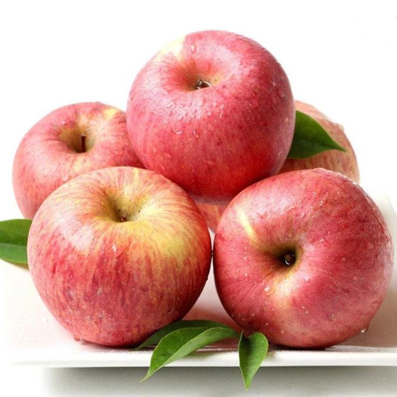精品红富士苹果产地直销品质保证量大从优欢迎选购