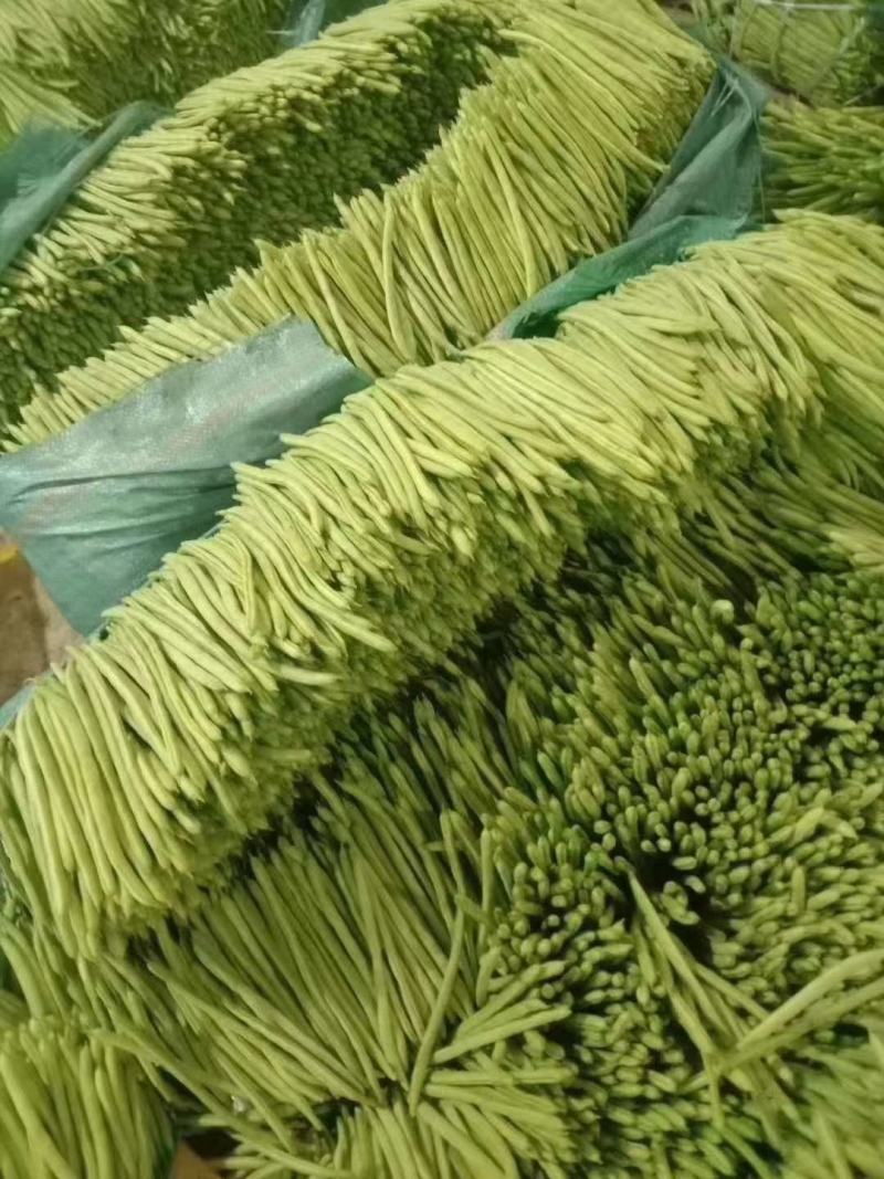 11月底开始上市有需要的老板可以下单了