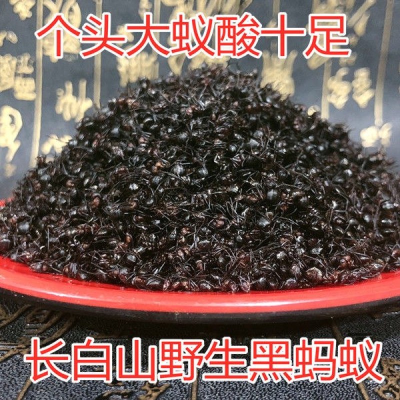 长白山黑蚂蚁袋装无杂质当天发货质保泡水药用