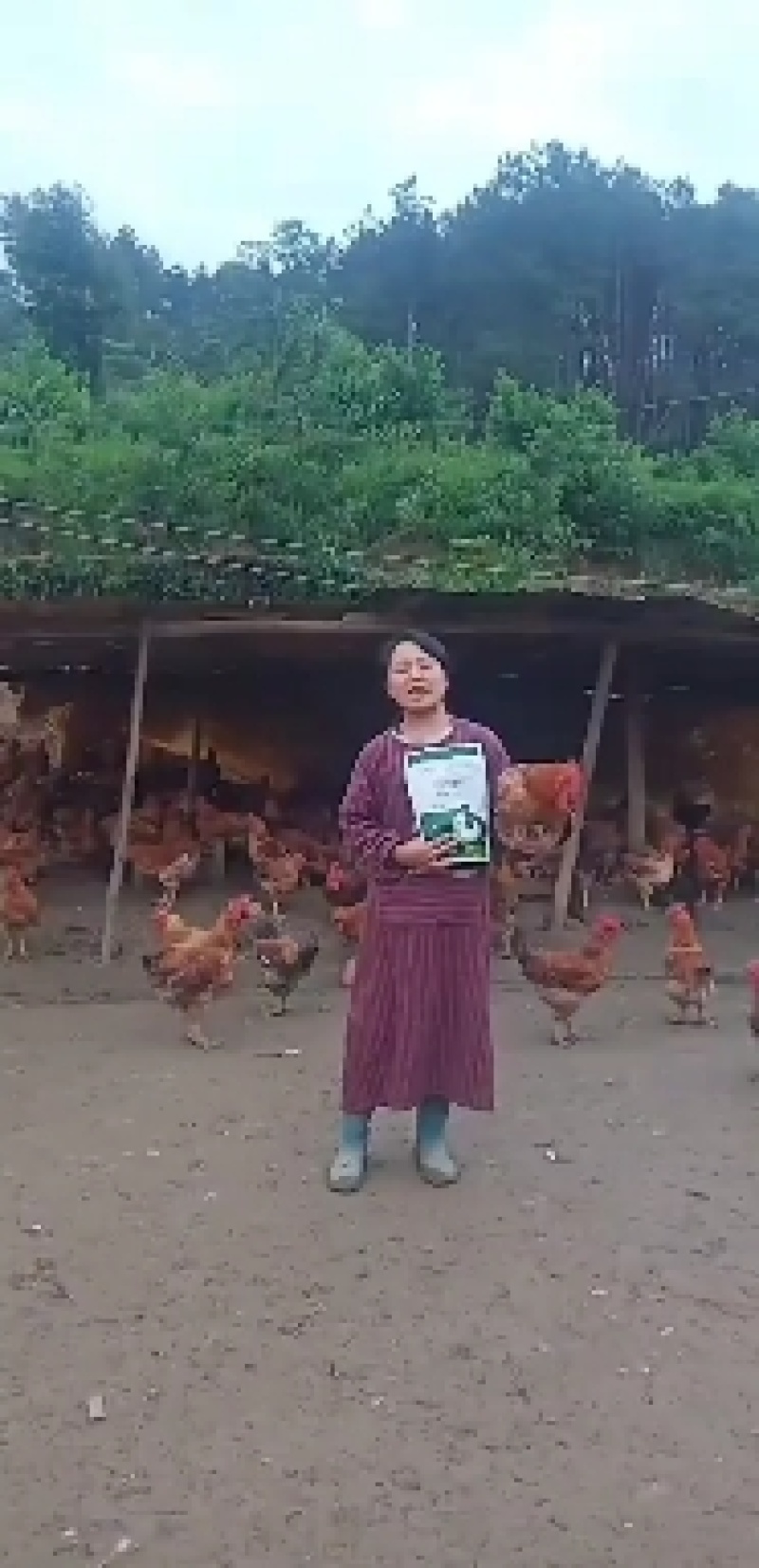 普健--禽大肠杆菌，浆膜炎，沙门氏菌，包心包肝，当天见效