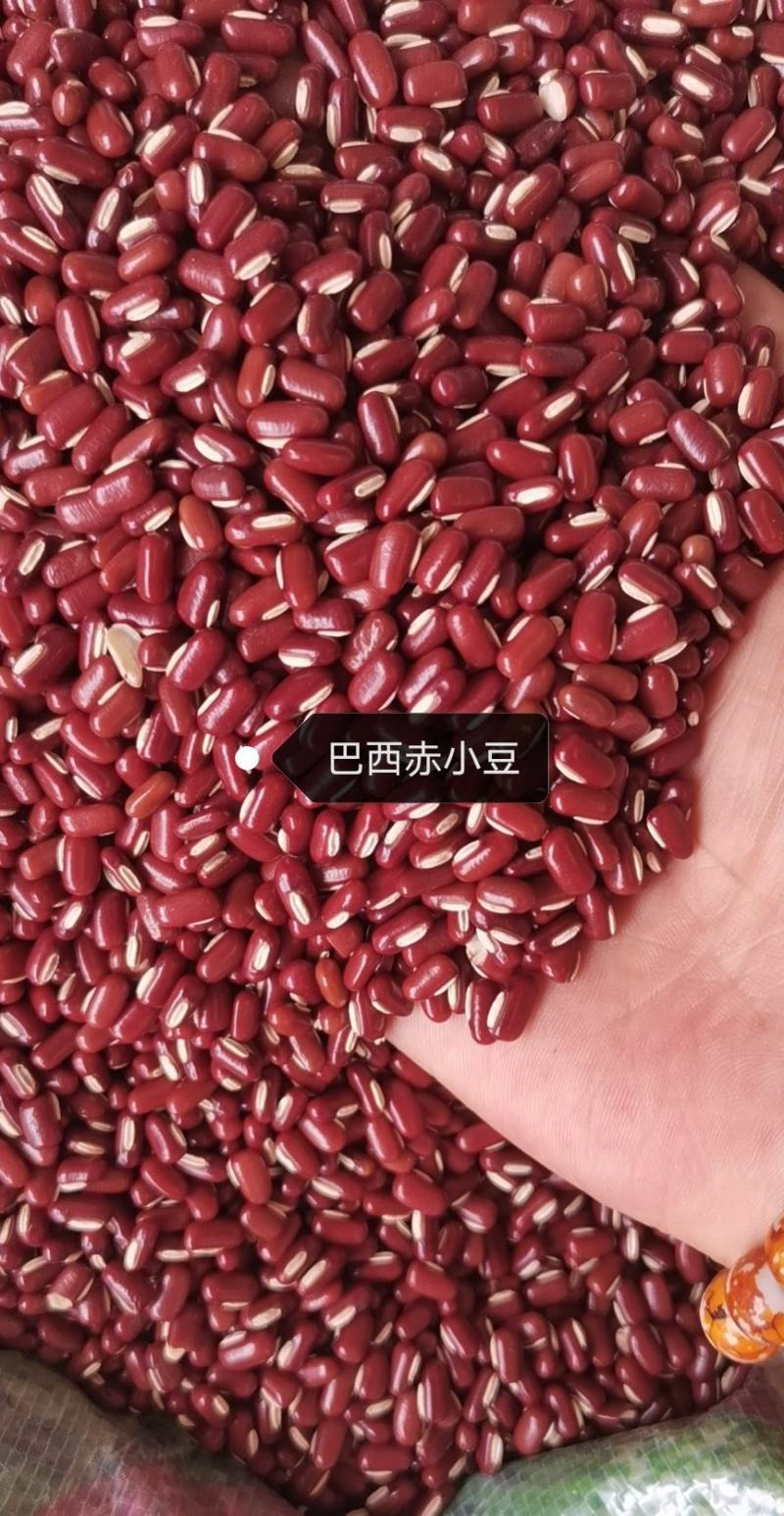 赤小豆大粒巴西赤小豆小粒赤小豆烘培及各种食品加工