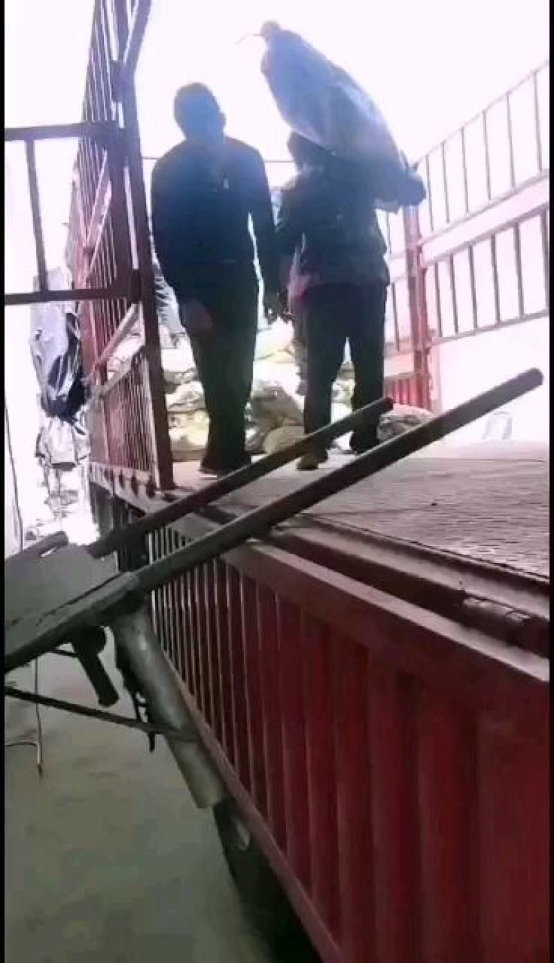 红薯芡粉质量保证，，货比三家，