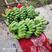 云南红河热带水果香蕉芭蕉产地直发一手货源
