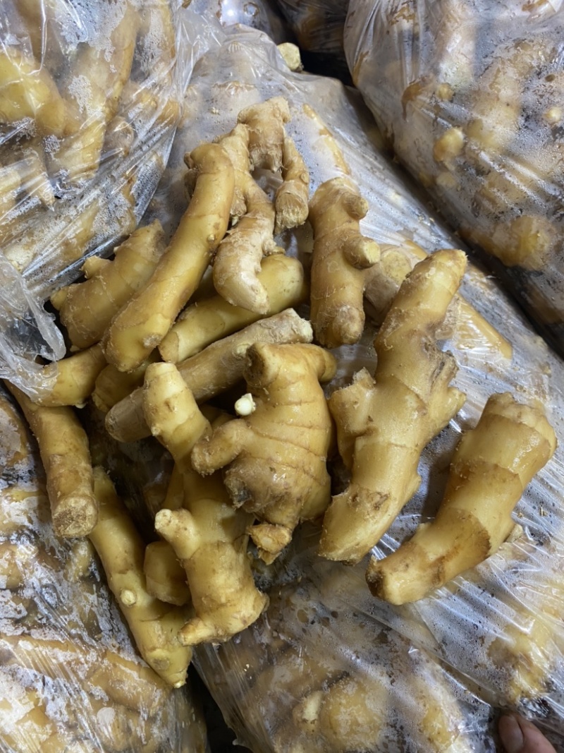 安丘大姜姜吧调料姜大量有货产地直销一手货源质量保证