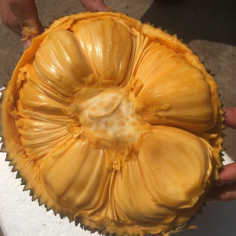 菠萝蜜，广东精品菠萝蜜，产地直发，质量保证，全国发货