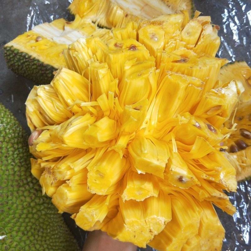 菠萝蜜，广东精品菠萝蜜，产地直发，质量保证，全国发货