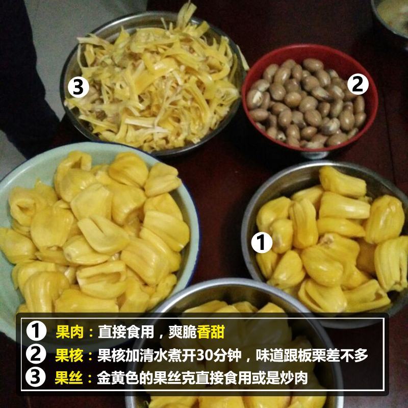 菠萝蜜，广东精品菠萝蜜，产地直发，质量保证，全国发货