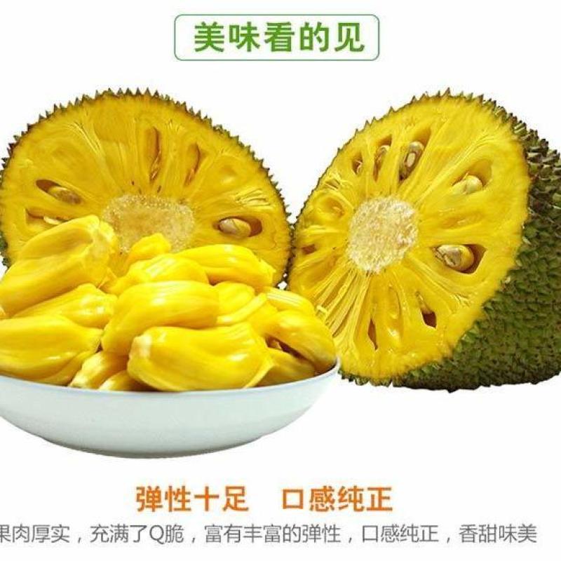 菠萝蜜，广东精品菠萝蜜，产地直发，质量保证，全国发货