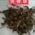 灵香草，灵灵香，香草钓鱼必备，经营各种中药材欢迎咨询选购