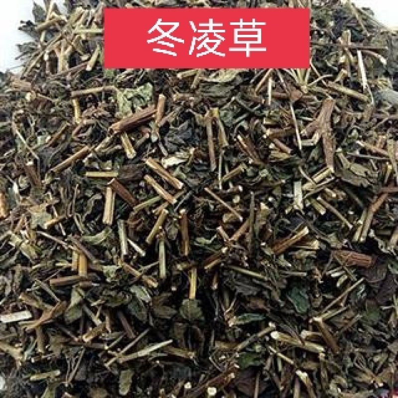 冬凌草，正品冬凌草，干净无杂！欢迎咨询选购！