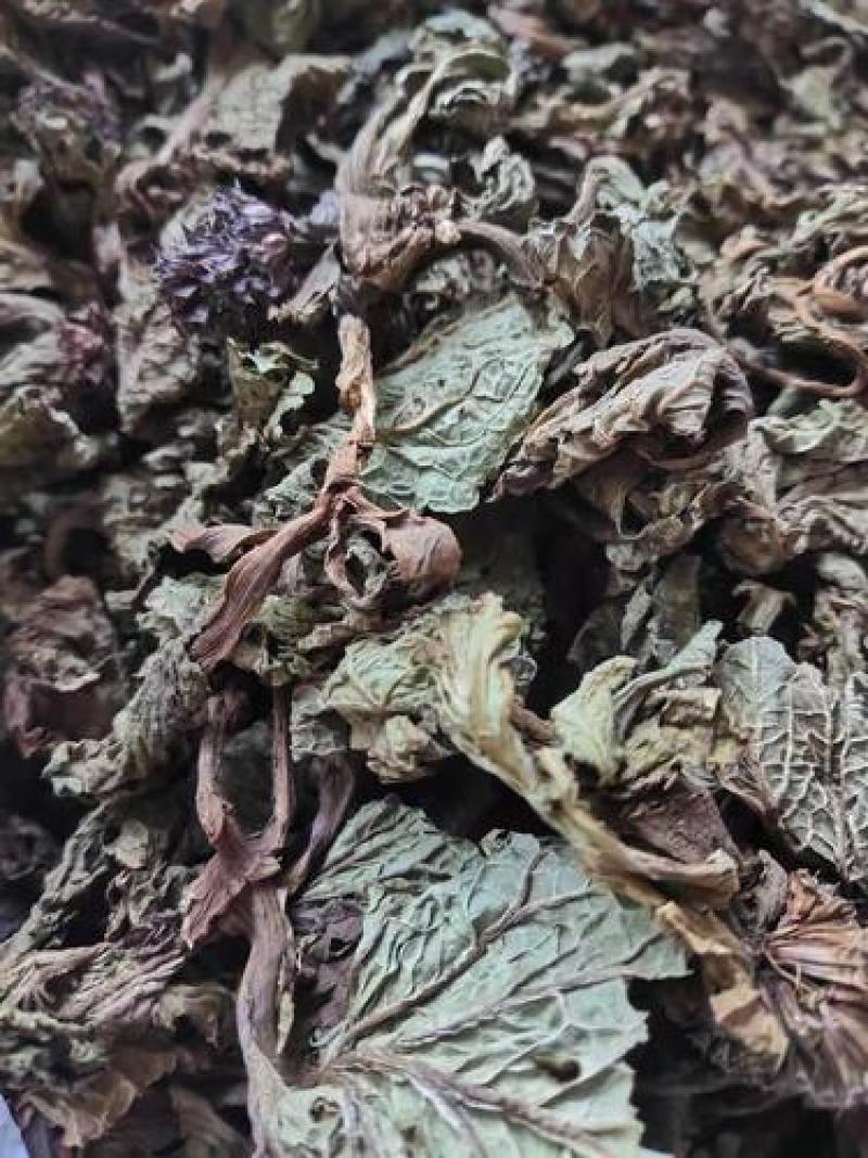 独一味，独一味叶野生新货质量保证，欢迎咨询选购！