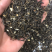 茉莉花茶横县茉莉花茶2026年新茉莉茶饭店用茶