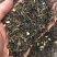 茉莉花茶横县茉莉花茶2026年新茉莉茶饭店用茶