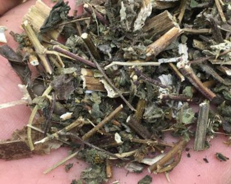 豨莶草，正品野生豨莶草质量保证，经营各种中药材！