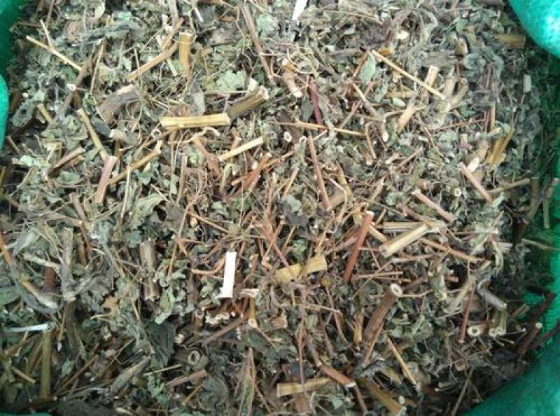 豨莶草，正品野生豨莶草质量保证，经营各种中药材！