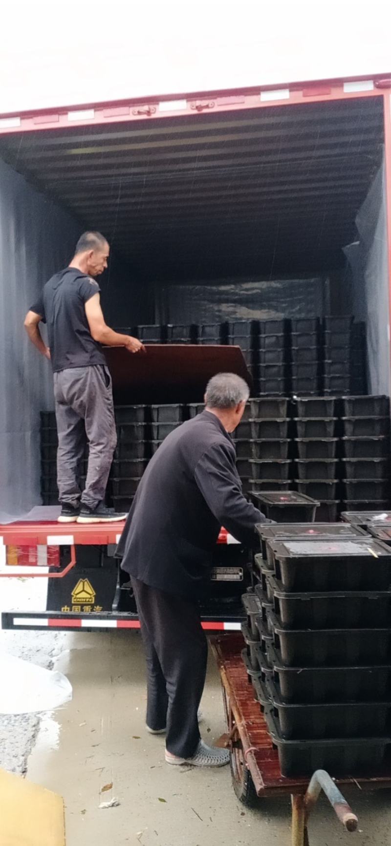 海蛰丝海蛰头海蛰皮价格优惠产地直销