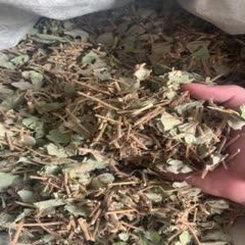 金钱草，广金钱草新货质量保证，经营各种中药材欢迎咨询选购
