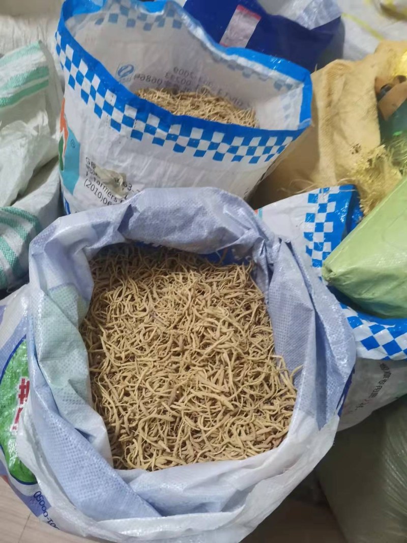太子参