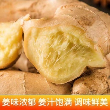 山东大黄姜6两以上不带土一手货源可以视频看货