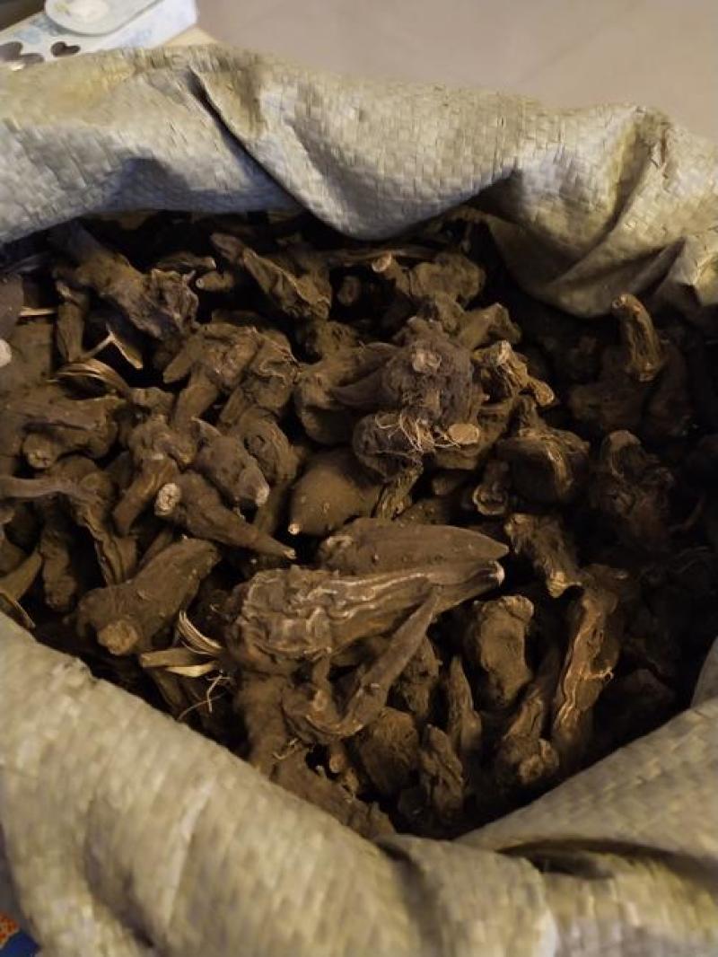 云南产乌药，乌豆质量保证经营各种中药材欢迎咨询合作