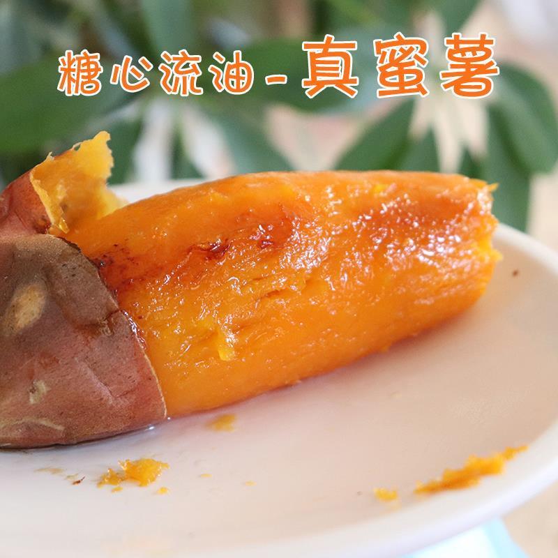 山东红薯规格齐全大量供应欢迎考察合作保证质量支持物流发货