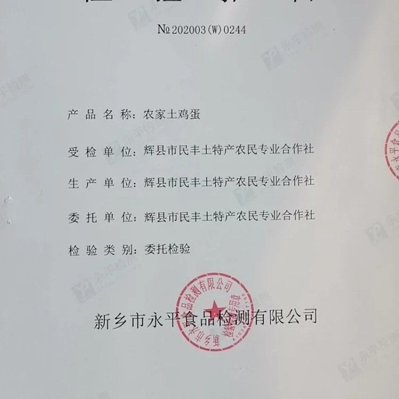 正宗绿壳乌鸡蛋河南特产农家散养乌鸡蛋绿壳蛋蛋黄大蛋