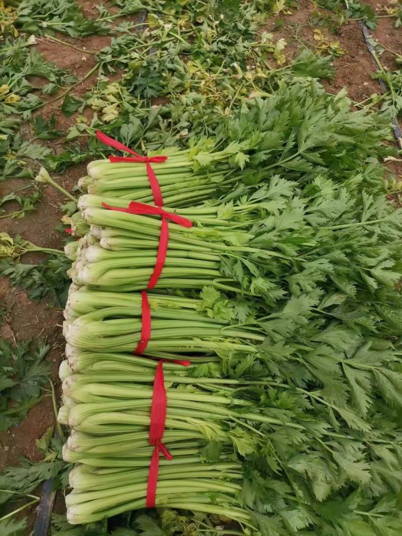 精品蔬菜