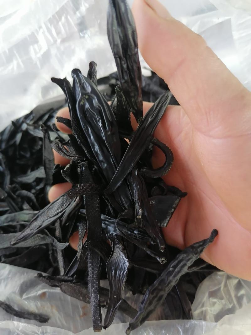 精品纯手工自然风干菲牛蛭干品精品