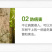 园林树木涂白剂防虫防冻杀菌直涂粉剂果树树干刷白代替生石灰