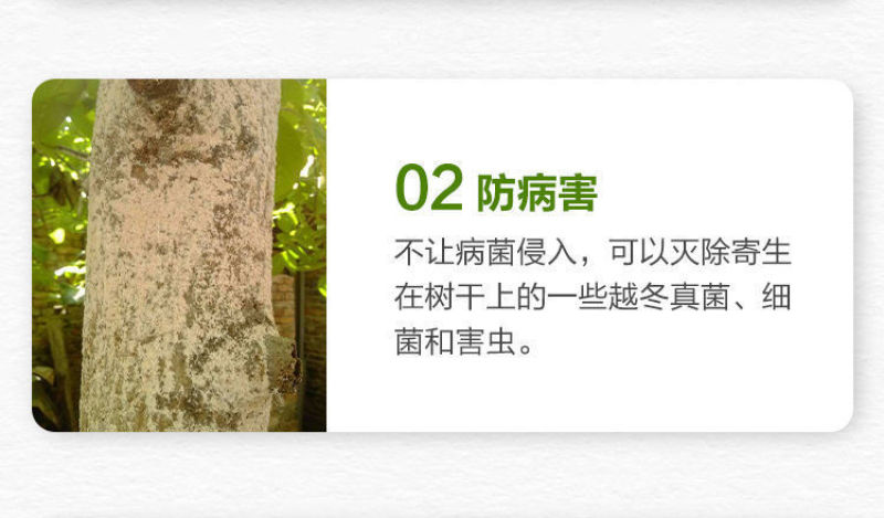 园林树木涂白剂防虫防冻杀菌直涂粉剂果树树干刷白代替生石灰
