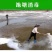 生石灰粉消毒杀菌防虫净化水质改良土壤树木刷白防霉除湿块