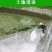 生石灰粉消毒杀菌防虫净化水质改良土壤树木刷白防霉除湿块