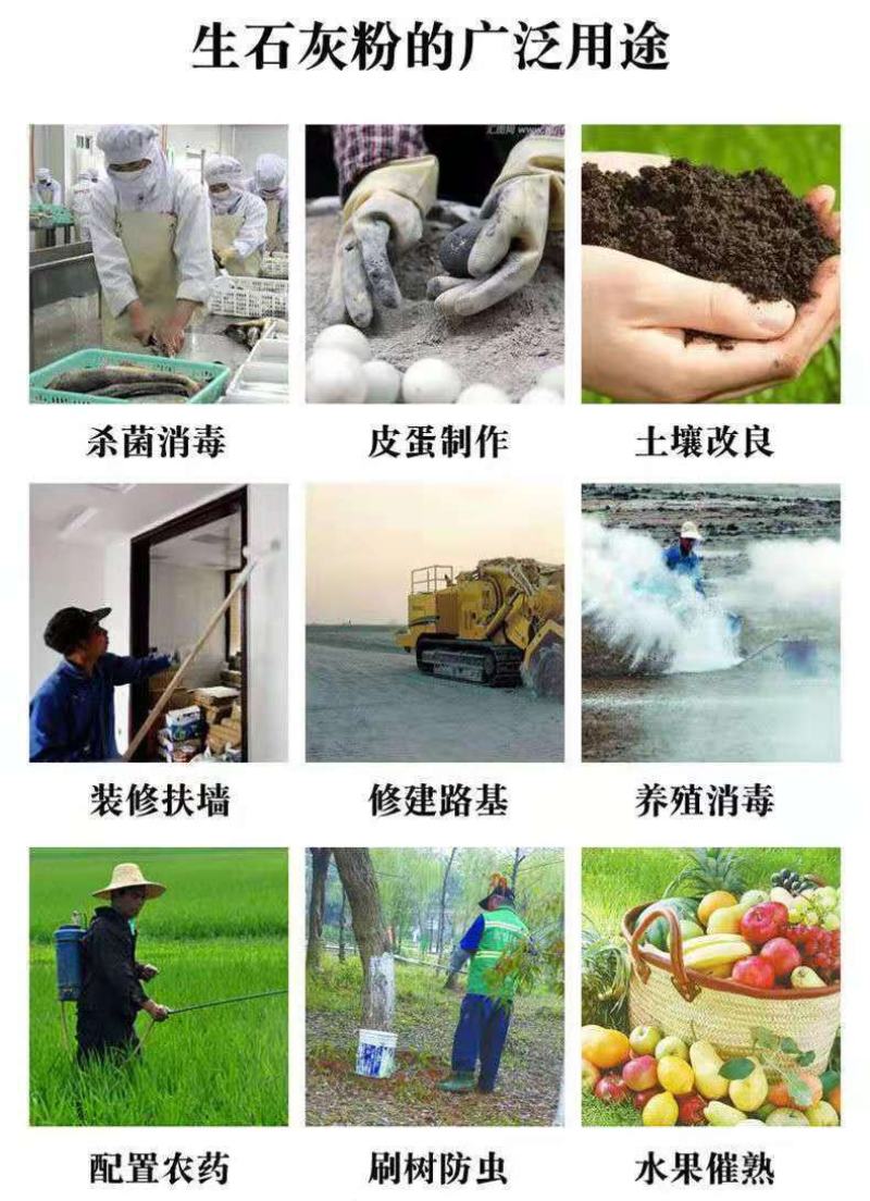 生石灰粉消毒杀菌防虫净化水质改良土壤树木刷白防霉除湿块