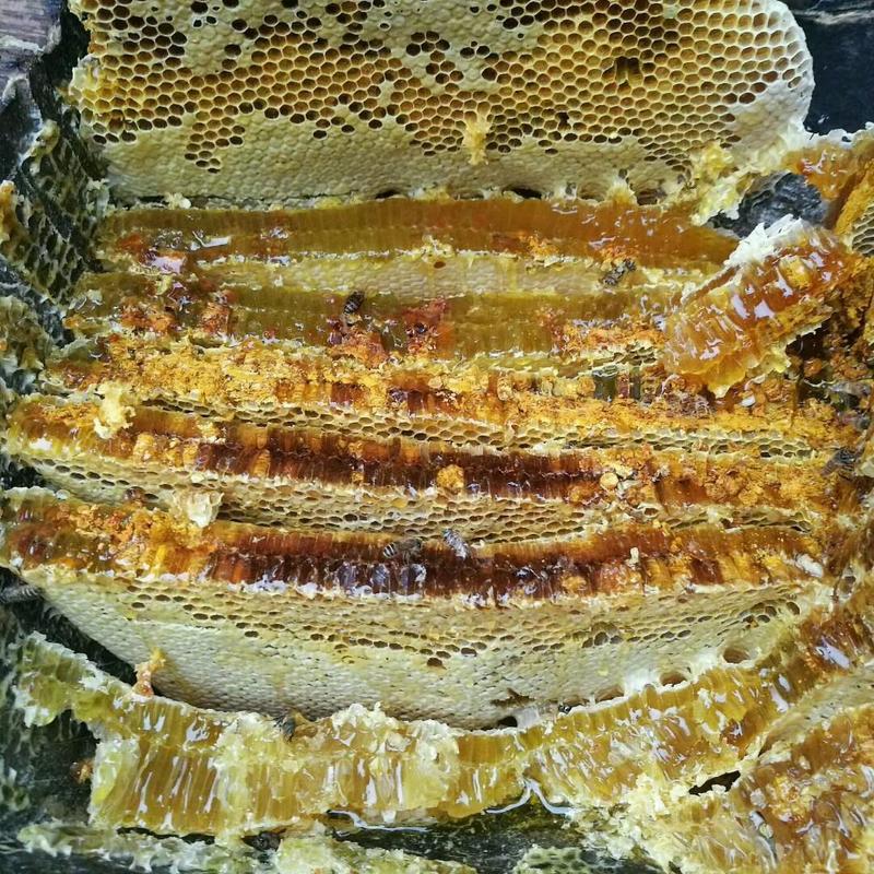 山里的土蜂蜜一年只割一次，产地直发，上百种花酿制而成