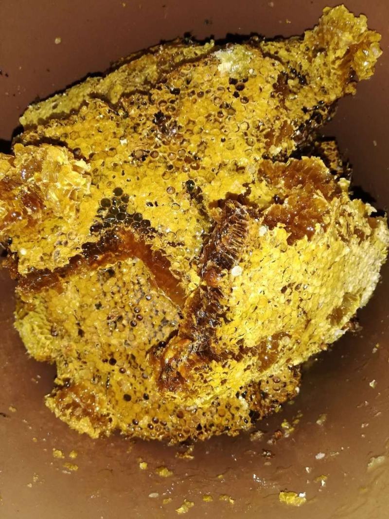 山里的土蜂蜜一年只割一次，上百种花酿制而成，产地直发可视
