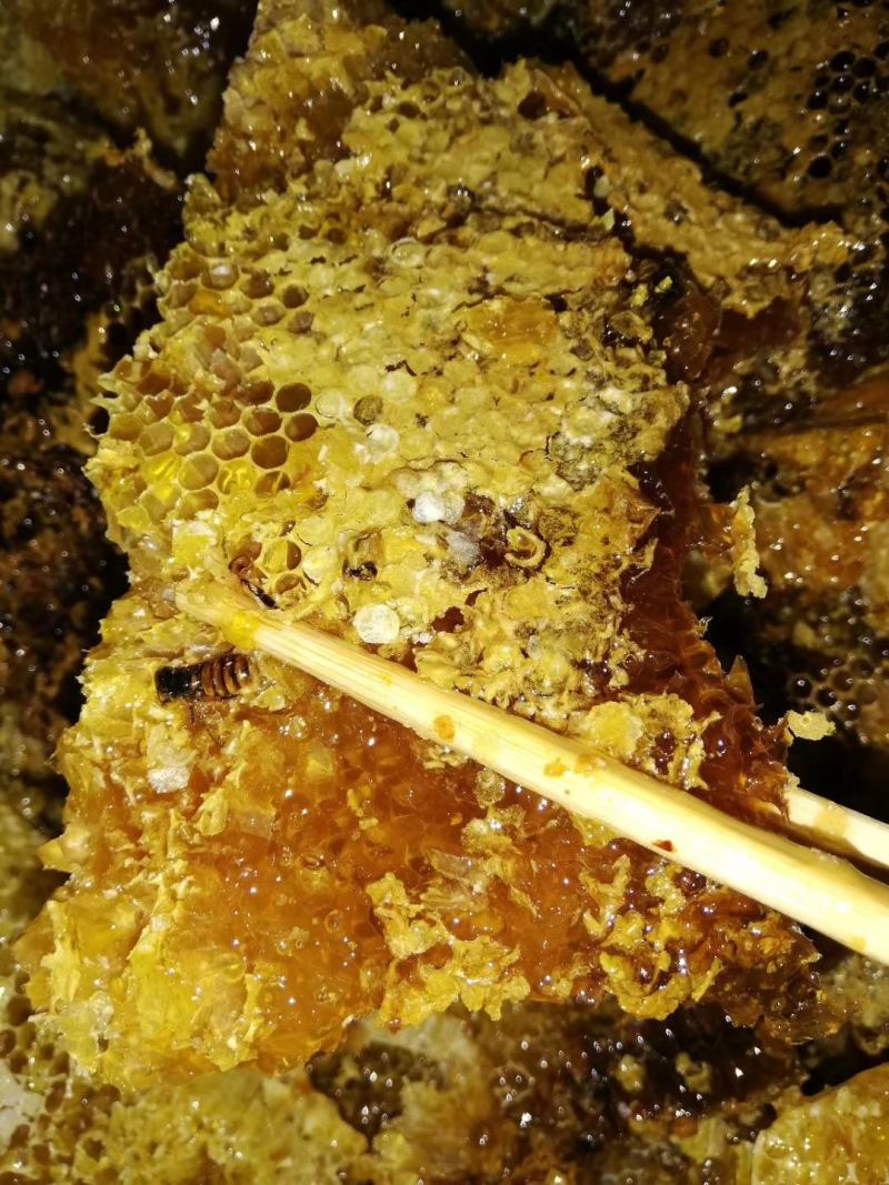 山里的土蜂蜜一年只割一次，上百种花酿制而成，产地直发可视