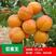 【聚划算】杏树苗新品种凯特巨蜜王金太阳品种纯正包品种成活