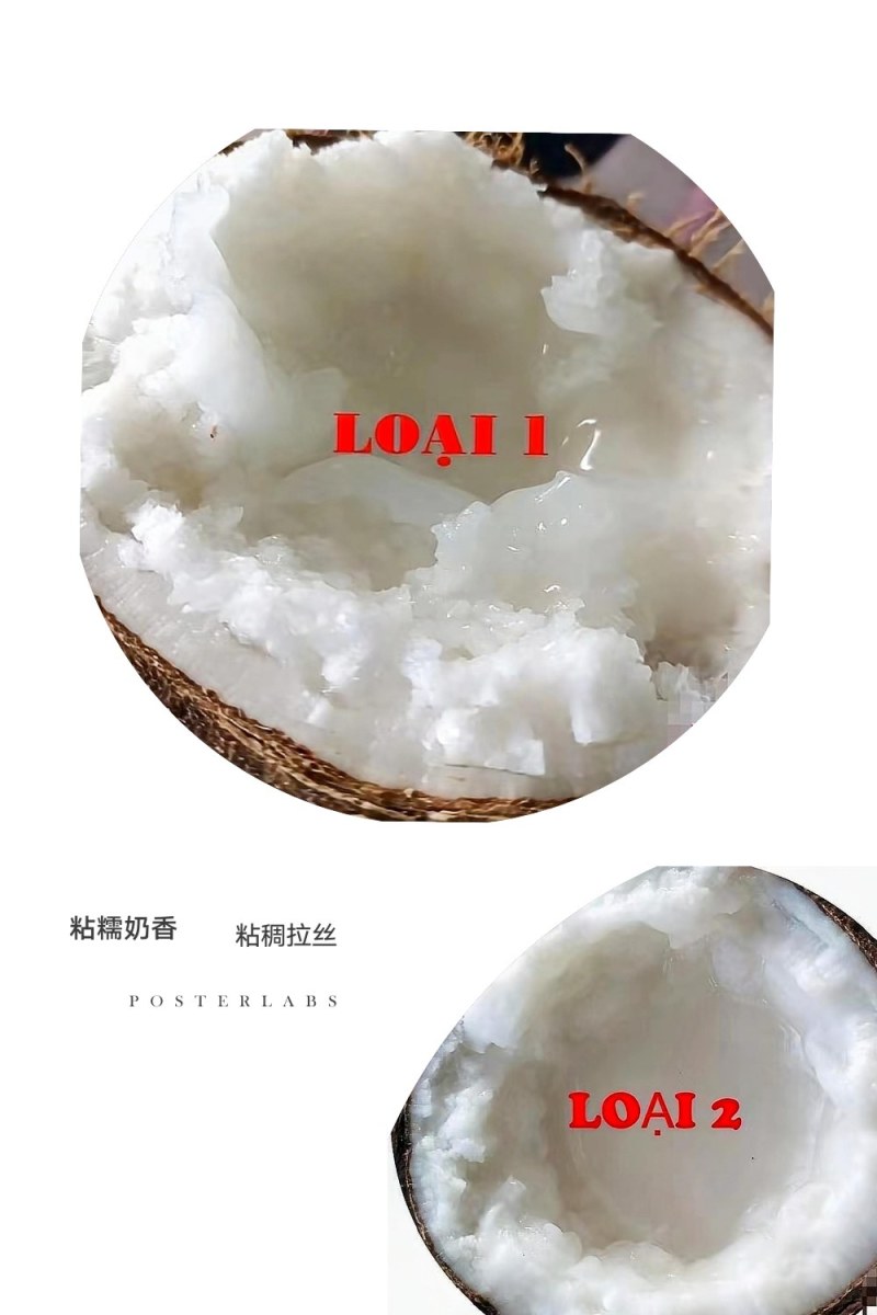 糯米椰子粘稠拉丝椰子中的爱马仕泰国糯米椰子新鲜四季热带水