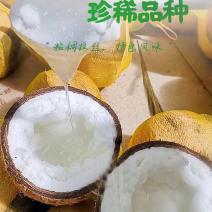 糯米椰子粘稠拉丝椰子中的爱马仕泰国糯米椰子新鲜四季热带水